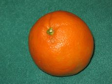 Apfelsine.JPG